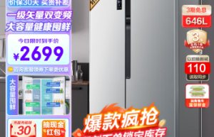 容声 BCD-646WD11HPA对比松下NR-JS30AX1-W冰箱买哪种好